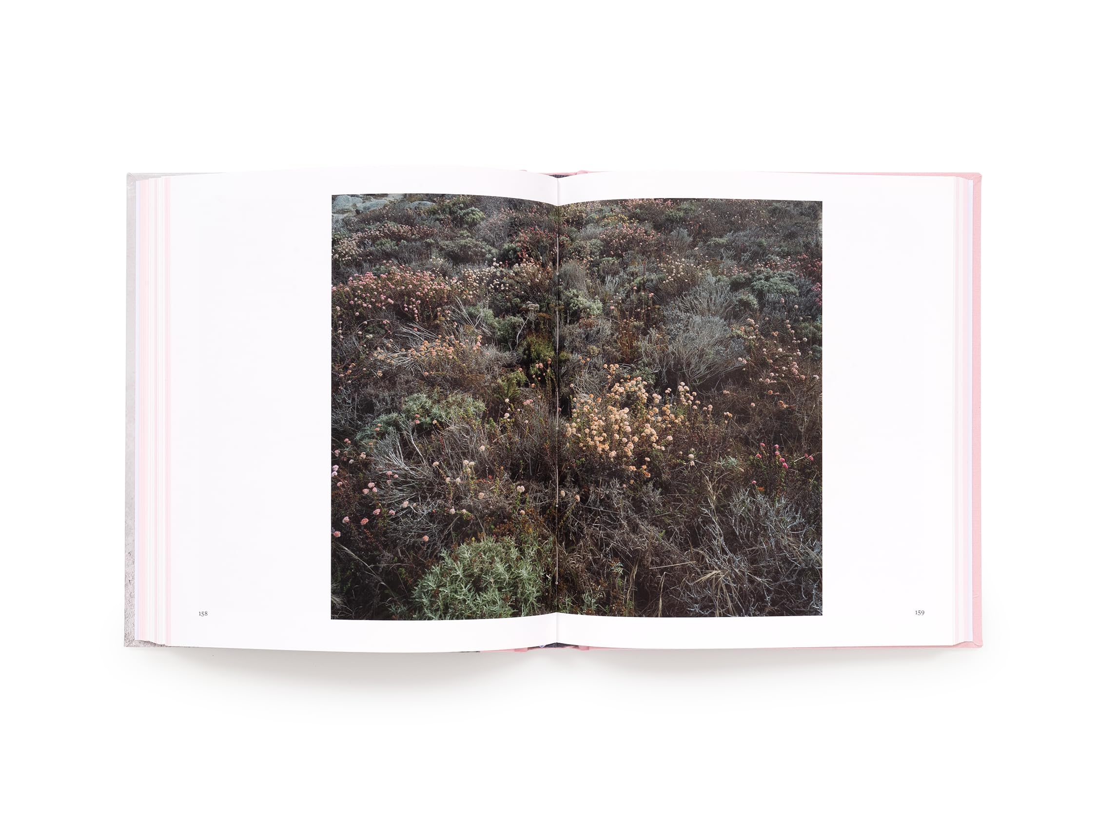 Kelli Connell: Pictures for Charis