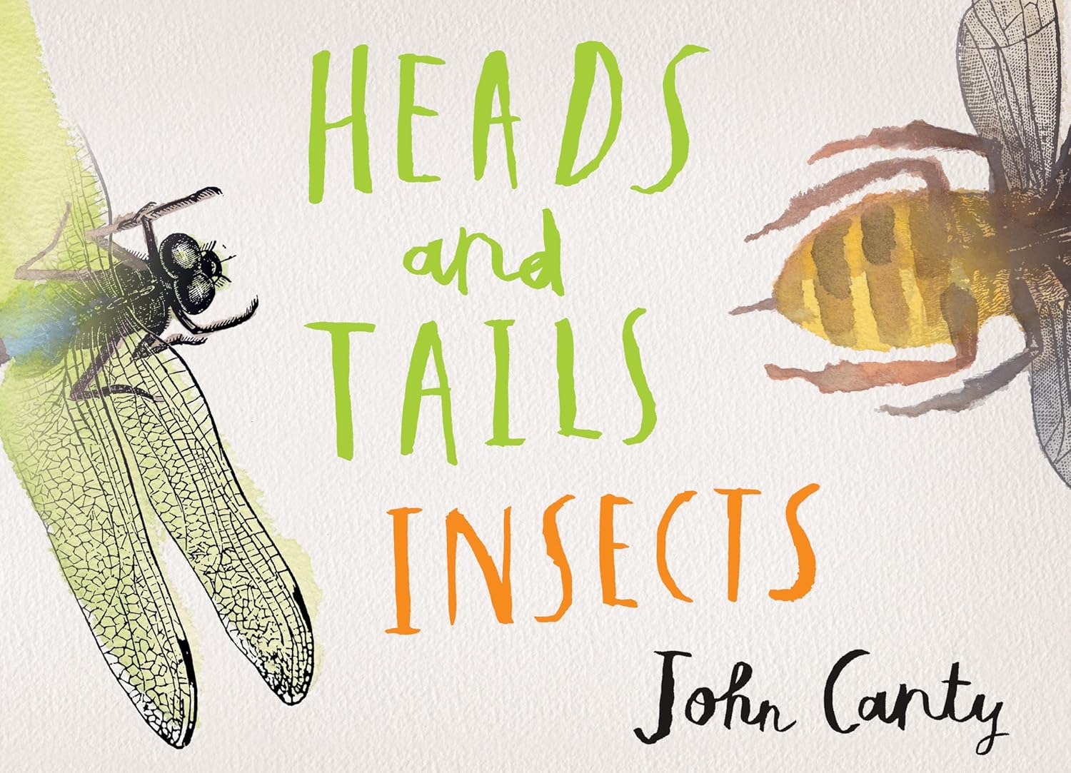 Heads and Tails Insects Canty, John, Canty, John 9781536207842