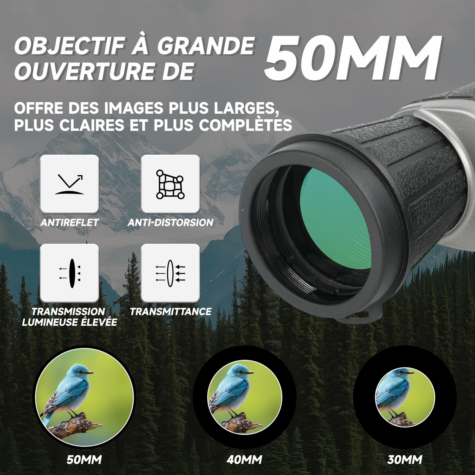 7 x 50 Jumelles Adultes pour Observation des Oiseaux | Jumelles Portables Haute avec Sac de Transport - Système Optique HD pour Concerts, Chasse et Jeux de Sport