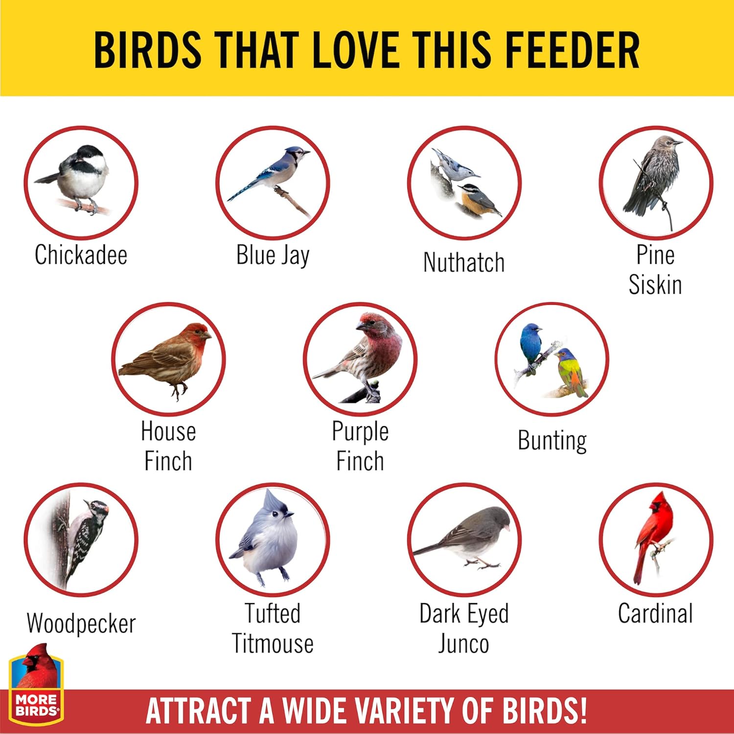 More Birds Giant Combo Screen Bird Feeder, Dual Seed Compartments, 10 Feeding Ports, 11 lb Bird Seed Capacity