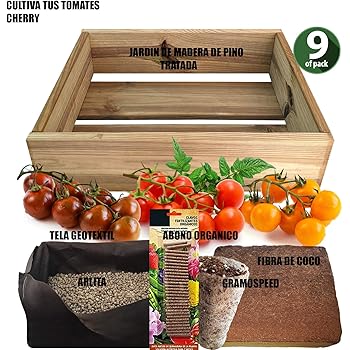 SeedBox SBCUTC - Huerto Urbano de Tomates Cherry: Amazon.es: Jardín