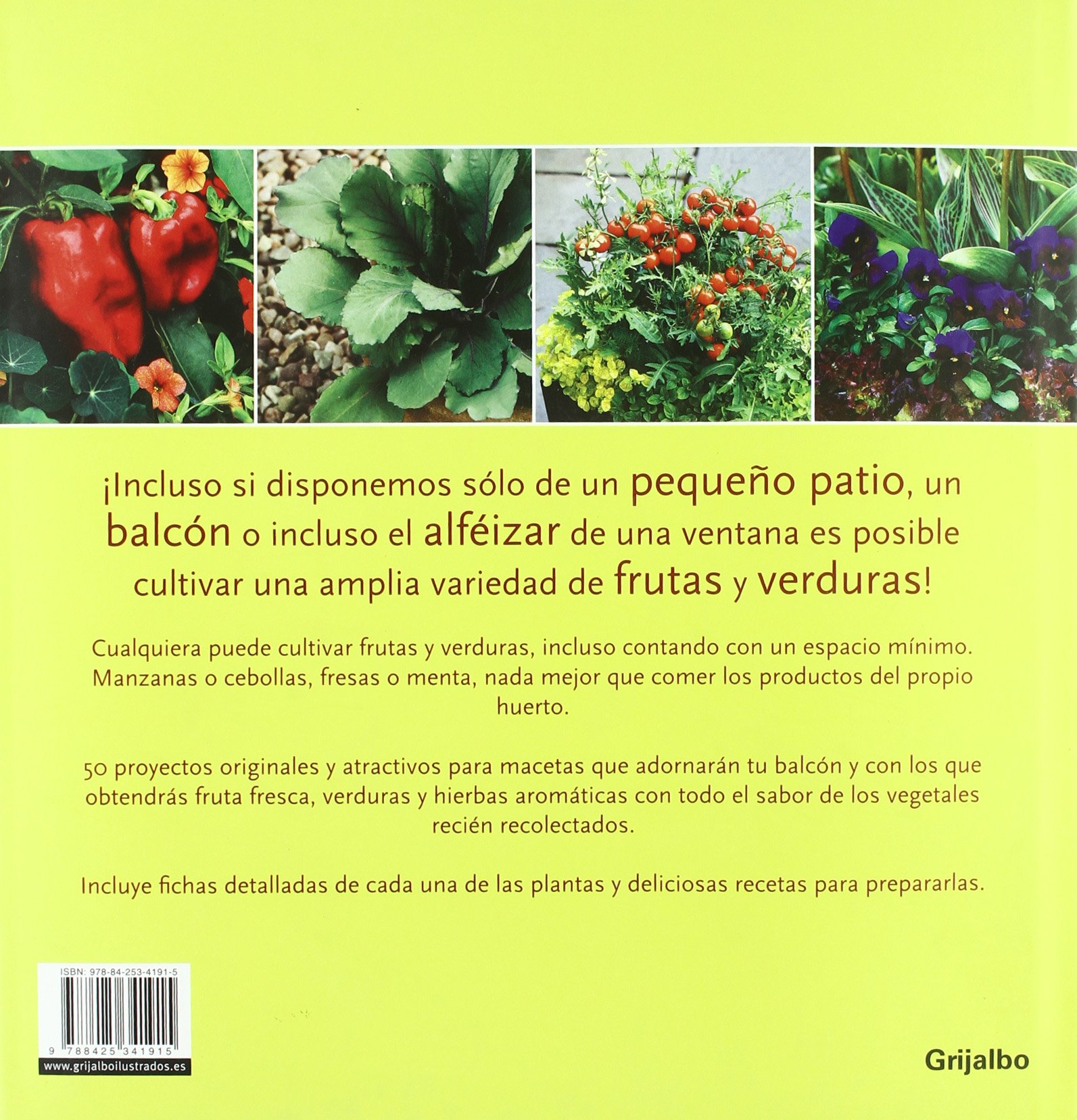 El huerto en macetas/ Crops In Pots: 50 proyectos para cultivar en maceta: frutas, verduras y hierbas aromaticas/ 50 Great Container Projects Using Vegetables, Fruit and Herbs