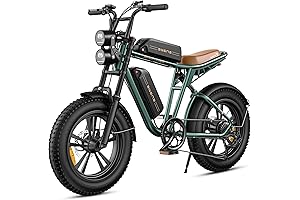 Newest 1000W Powerful ENGWE Electric Bike | 26" Inch Fat Tire Electric...