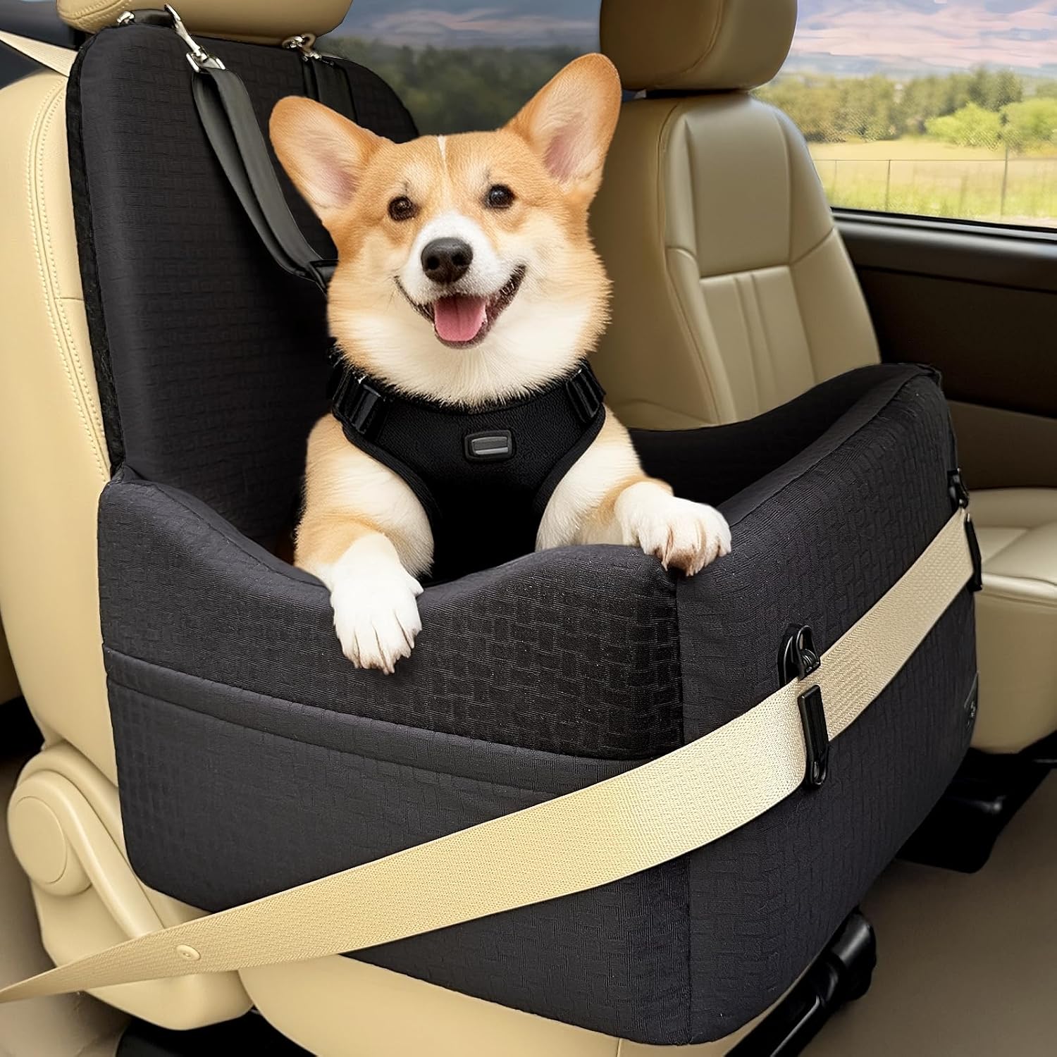 犬用 ドライブボックス 大型犬」の人気商品一覧 | 安い商品を通販