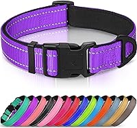 Joytale Reflective Padded Dog Collar - Breathable Nylon, Neoprene Comfort, Adjustable XS-XL for Small to Large Dogs, Night Safety Purple L