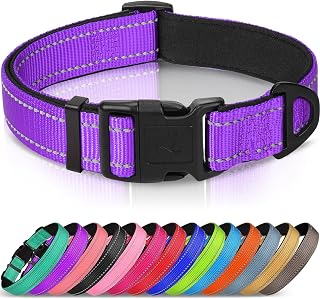 Joytale Reflective Padded Dog Collar for Medium Dogs - Soft Neoprene, Adjustable Nylon with Metal D-Ring, Purple M Size