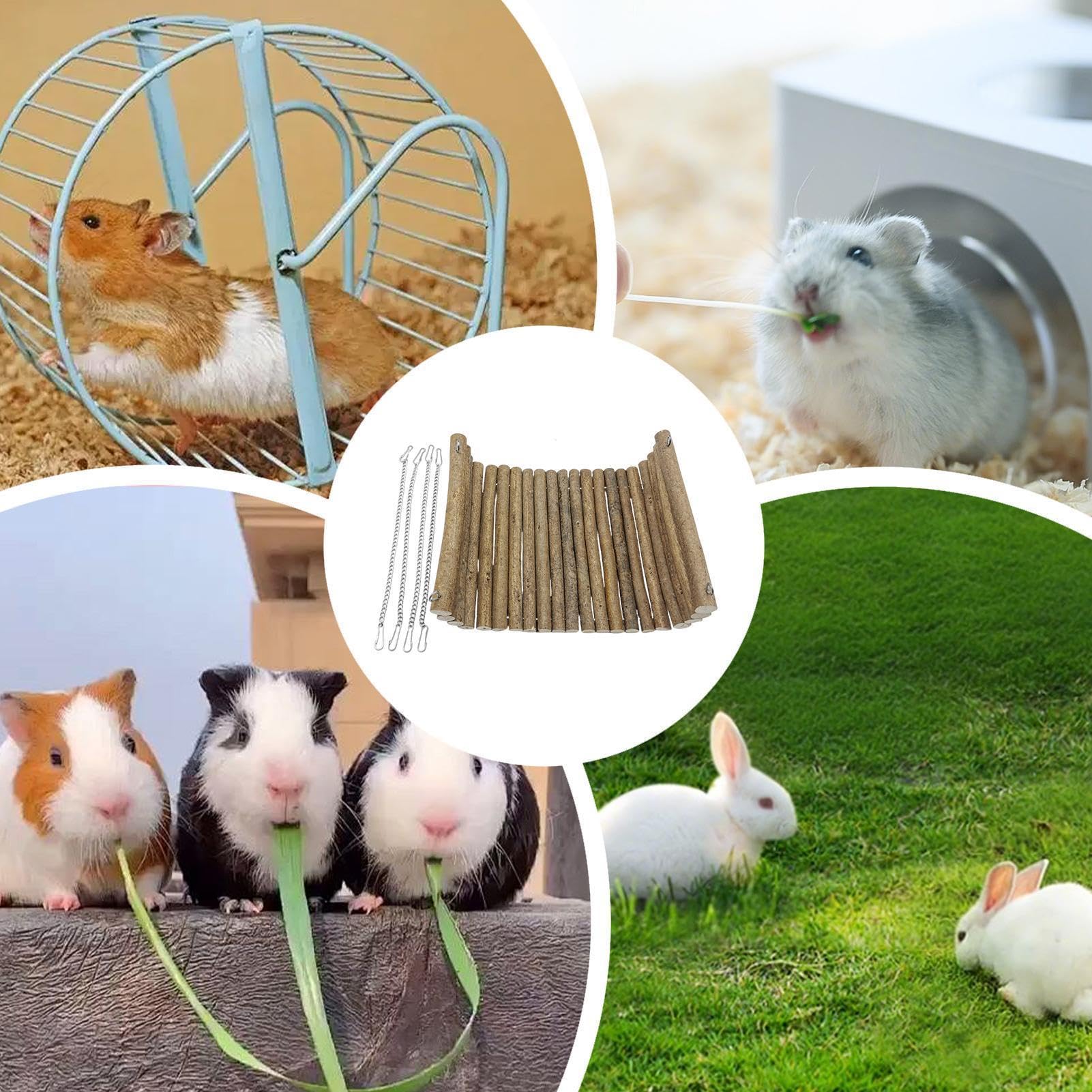 Hamster Hängematte Knabberschaukel aus Holz zur artgerechten Beschäftigung