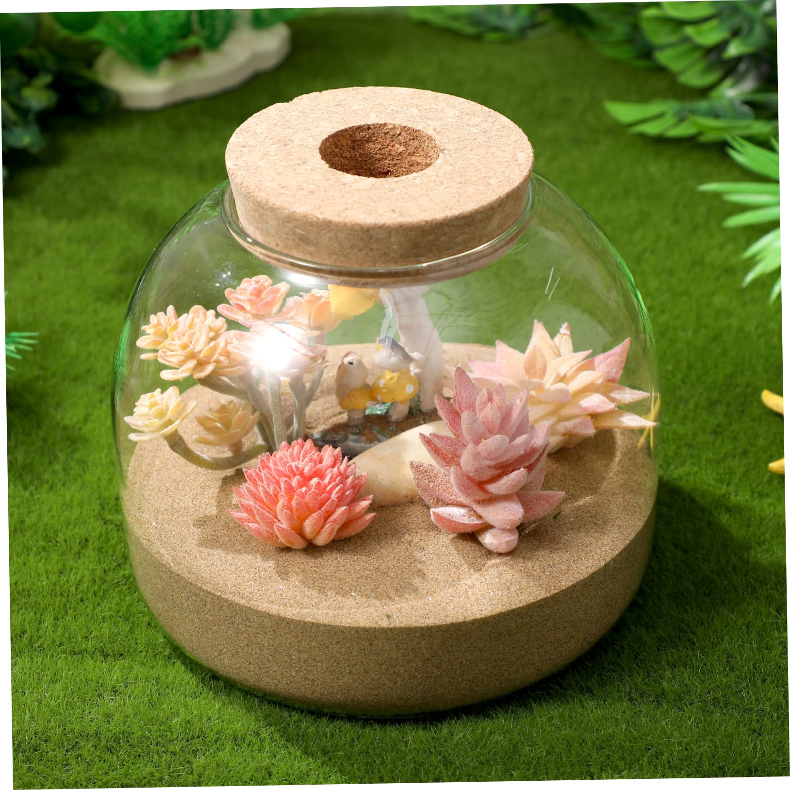 Kleines Terrarium für Pflanzen Dekoratives Gefäß mit Korkdeckel für Moos und Miniaturgärten Perfektes Wohnaccessoire und für Pflanzenliebhaber