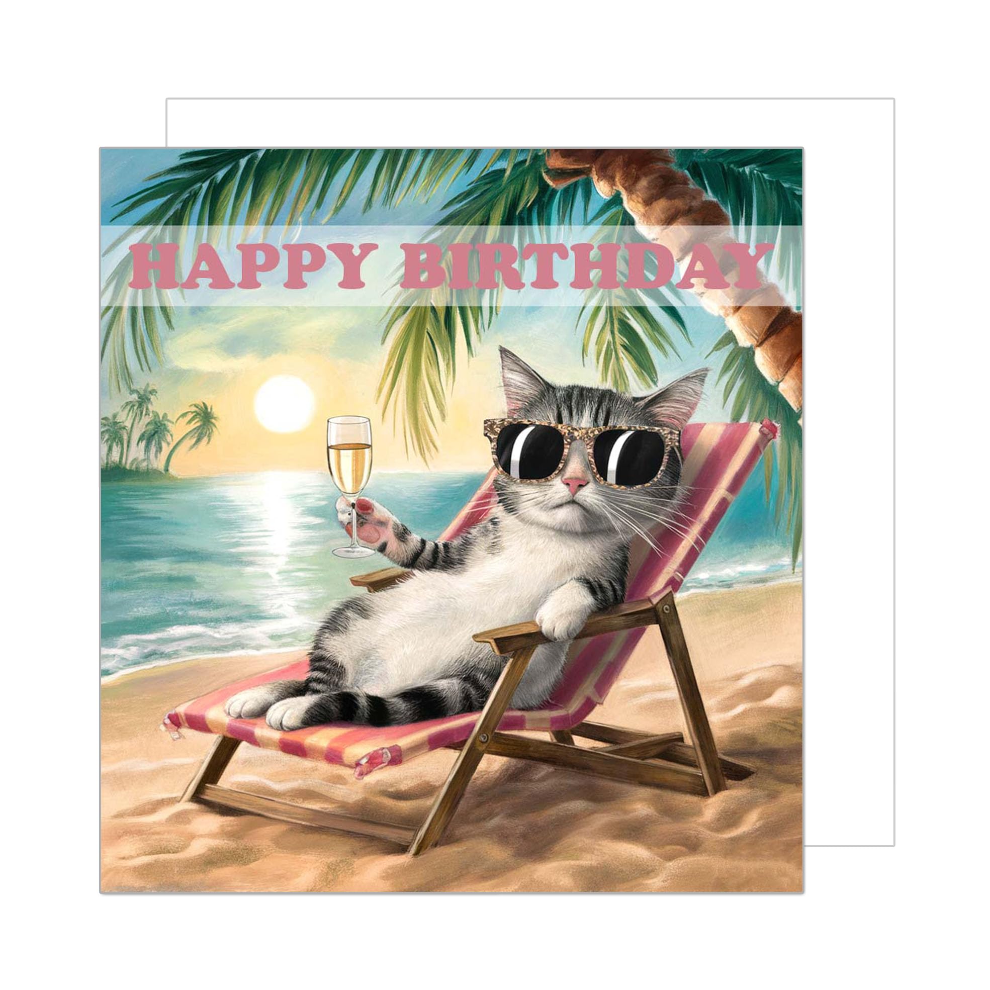 Edition Seidel Carte danniversaire carrée premium avec enveloppe. Carte danniversaire  joyeux anniversaire pour homme, femme, chat, plage, humour drôle (GQ317  SW024) : Amazon.fr: Fournitures de bureau