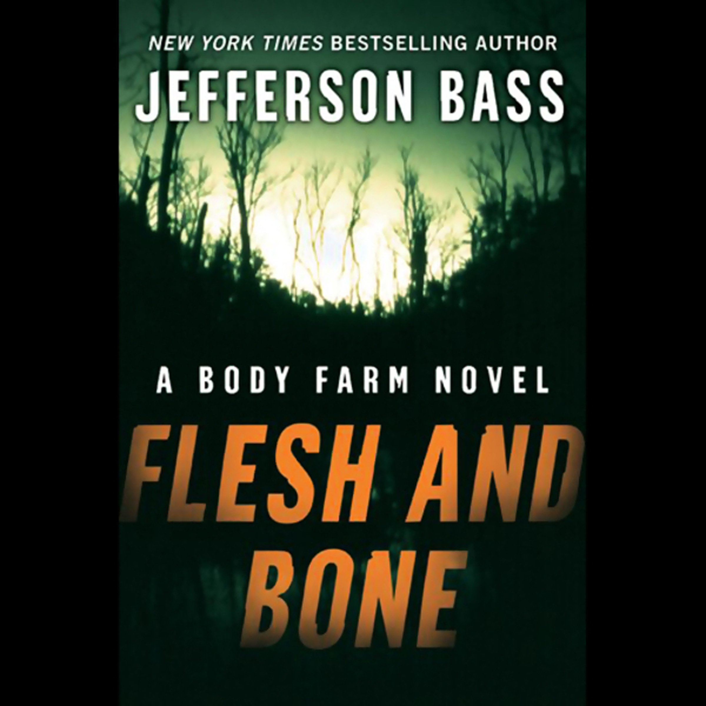 Cover art for Flesh and Bone