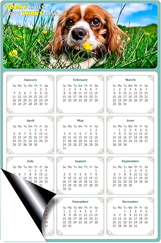 Miniatura 2 de Calendario magnético 2024  Imanes del calendario  Today is my Lucky Day  Resistente a la decoloración, desgarros y agua  Temática de perros 06 (5.25