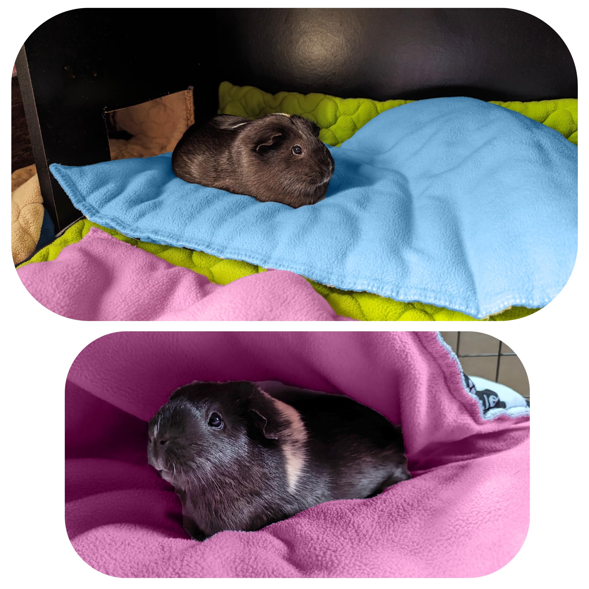 Fleece-Decke & Matte für Meerschweinchen und Kaninchen (2er Set) | 70 x 140 cm – C&C 2x4 – Rosa- Waschbare, weiche & saugfähige Unterlage. Perfekt als Spielmatte für Ihre Kleintiere
