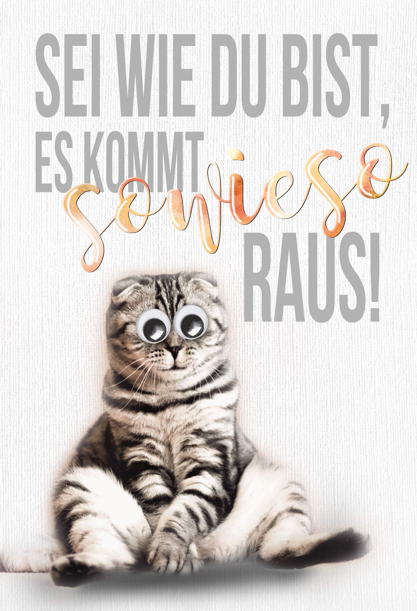 Twizler Lustige Karte 'Arbeit Von Zu Hause Katze' – Blankokarte Für Jeden Anlass