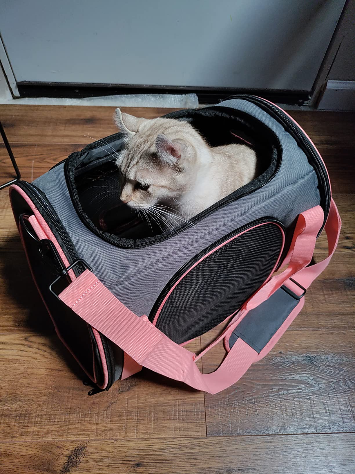 9/mo Finance Pet Carrier Airline Approved, Expandable Pet Carrier
