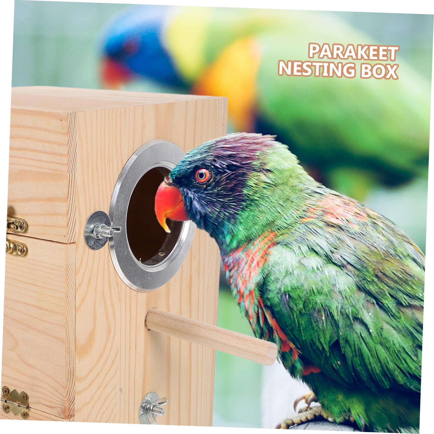 Cassa per Nidificazione Legno per Parakeet Casa Legno per Uccelli Nido per Uccelli Accessori per Allevamento
