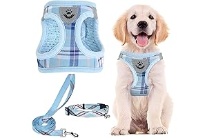 Adjustable Dog Harness and Leash Set | The Cutest Harness for Your Furry Friend