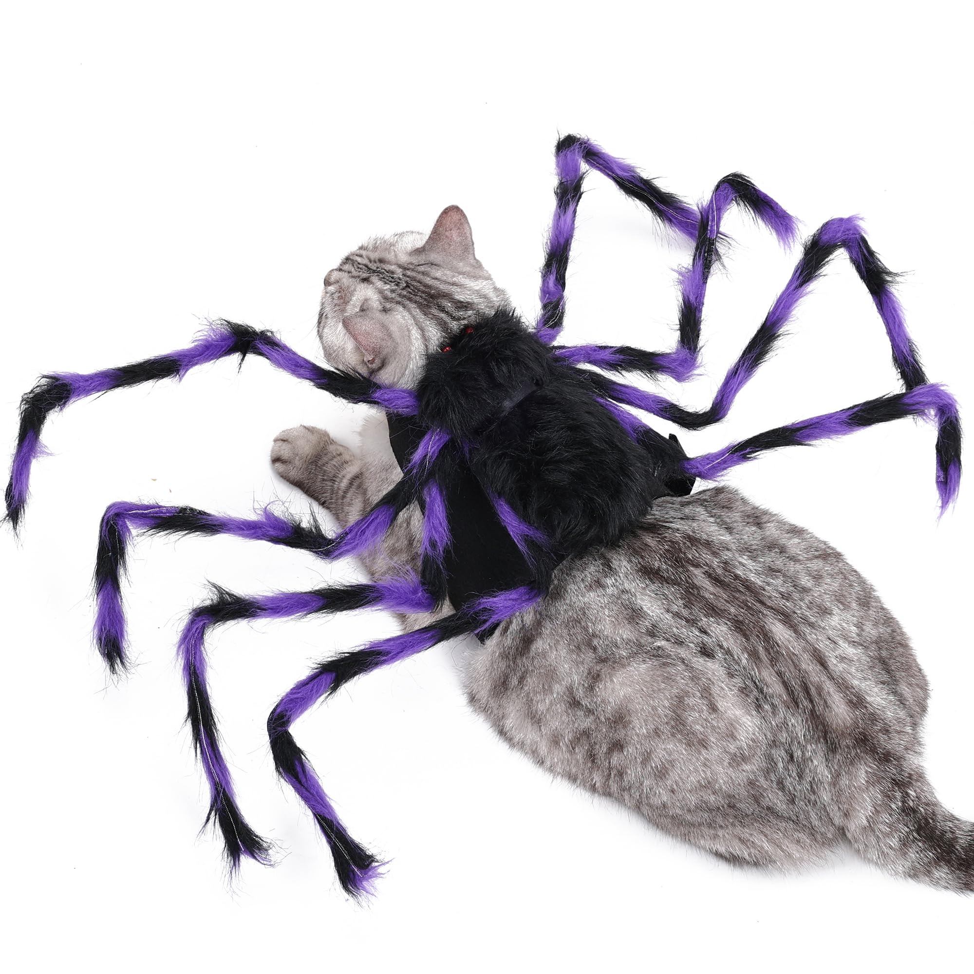 BT Bear Pet Halloween Costume,Spider Dog Halloween Cloak Holiday Dress Up Cosplay Costumes(Purple,L) — image 1