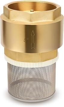 Foot Valve with Filter 4" NPT, Brass Bottom Valve, Non Return Spring Vertical Check Valve to Filter Impurities, Prevent Backflow of Media for Water Pump, Irrigation, Industrial Piping System DN100