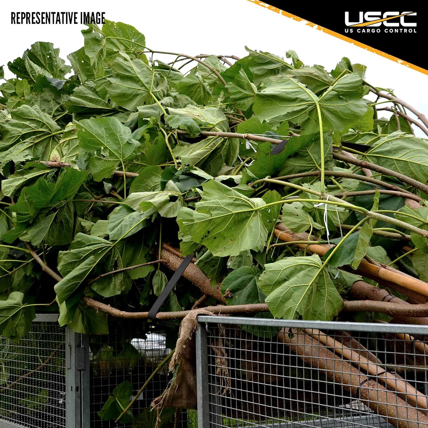 Fеаturеd Prоduсt US Cargo Control - Stainless Steel Ratchet Strap Tie Down - 1 Inch Wide X 15 Foot Long - Black Tie Down Strap - Stainless Steel Wide Handle Ratchet - Dependable Utility Strap to Secure Cargo - 4 Pack Bеѕt Rеvіеw US Cargo Control - Stainless Steel Ratchet Strap Tie Down - 1 Inch Wide X 15 Foot Long - Black Tie Down Strap - Stainless Steel Wide Handle Ratchet - Dependable Utility Strap to Secure Cargo - 4 Pack