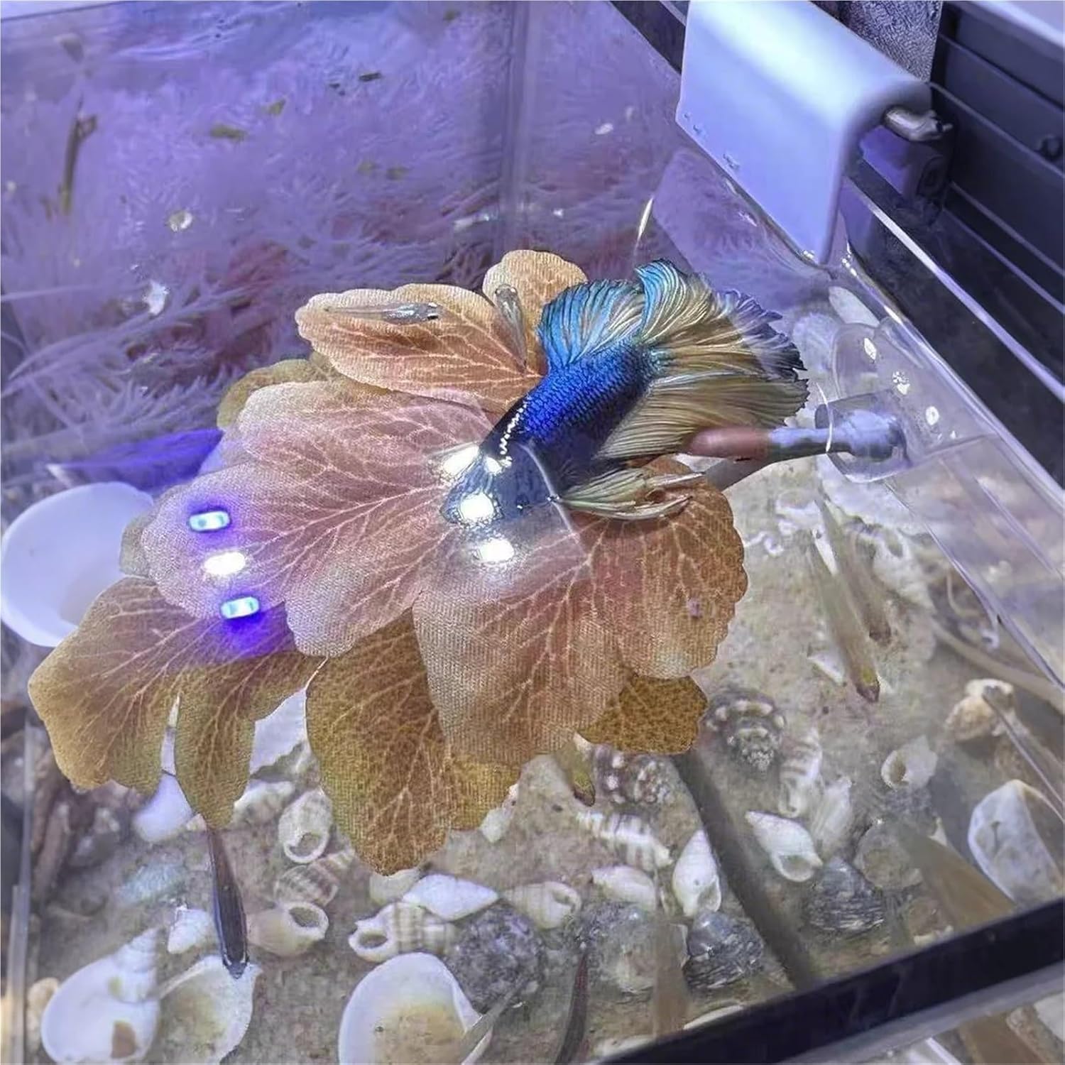 beta Hammock 15pcs Betta Fish Rest Leaf Aquarium Decor Artificial Plastic Simulated Plants with Suction Cups(Color3)