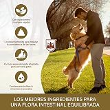 Ver la foto 6