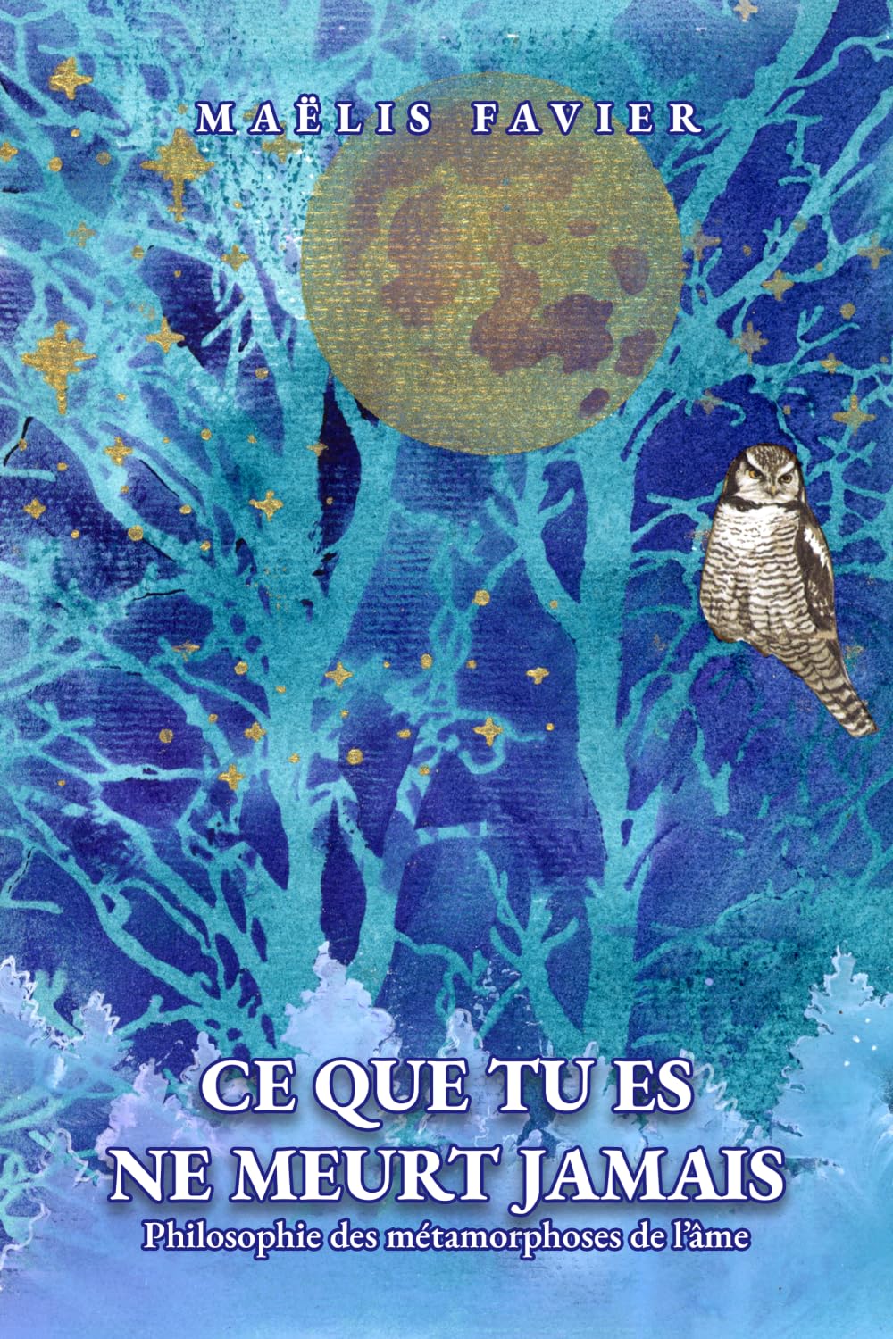 Ce que tu es ne meurt jamais: Philosophie des métamorphoses de l’âme