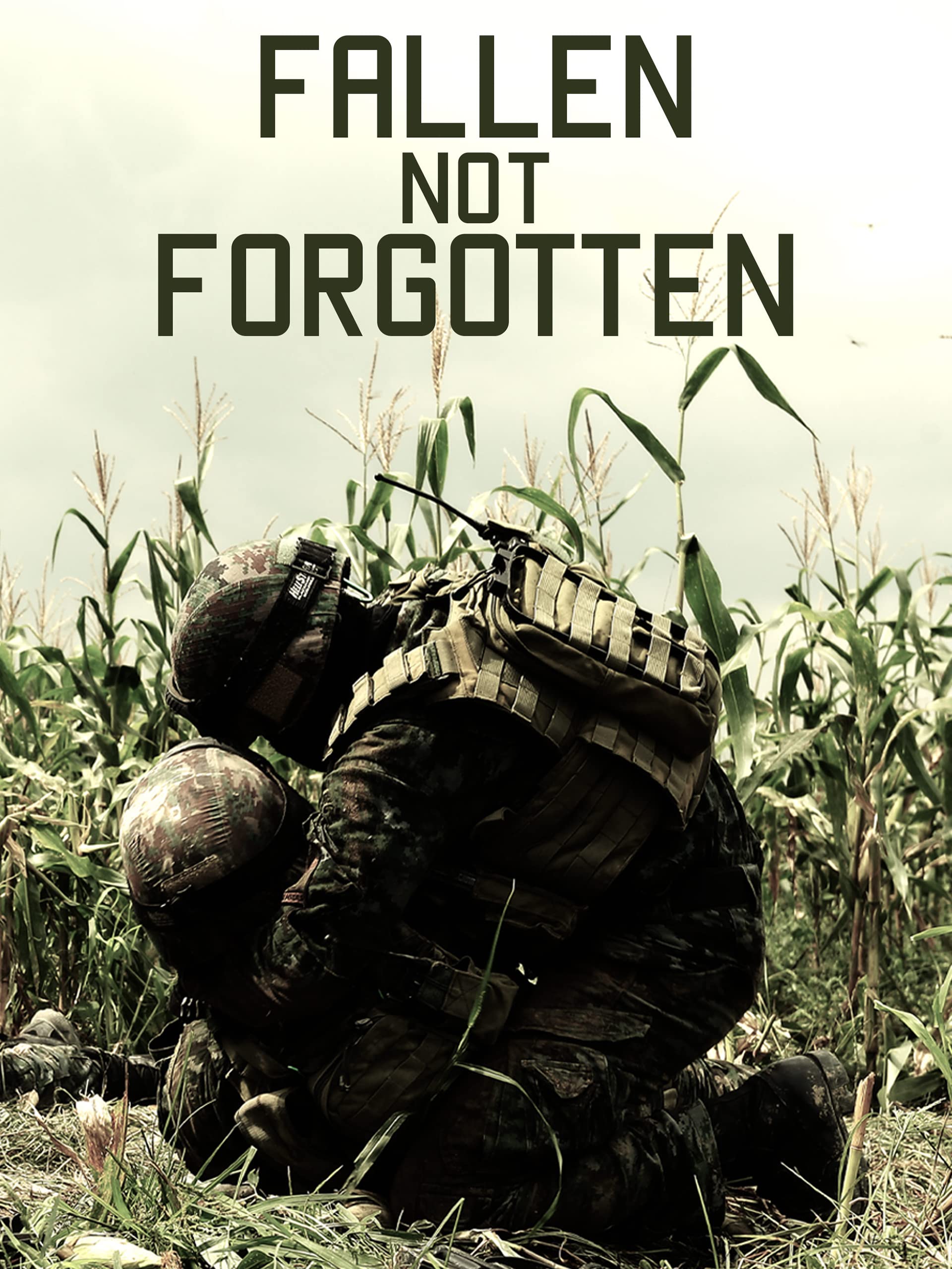 Fallen Not Forgotten