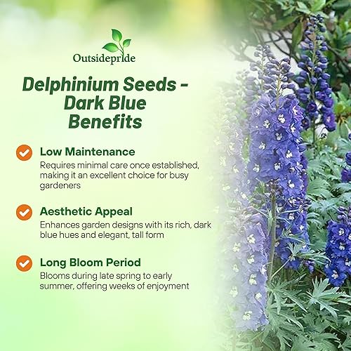 Miniatura 3 de Outsidepride 200 semillas perennes Delphinium Magic Fountain Dark Blue White Bee Garden Flower Seeds para plantar