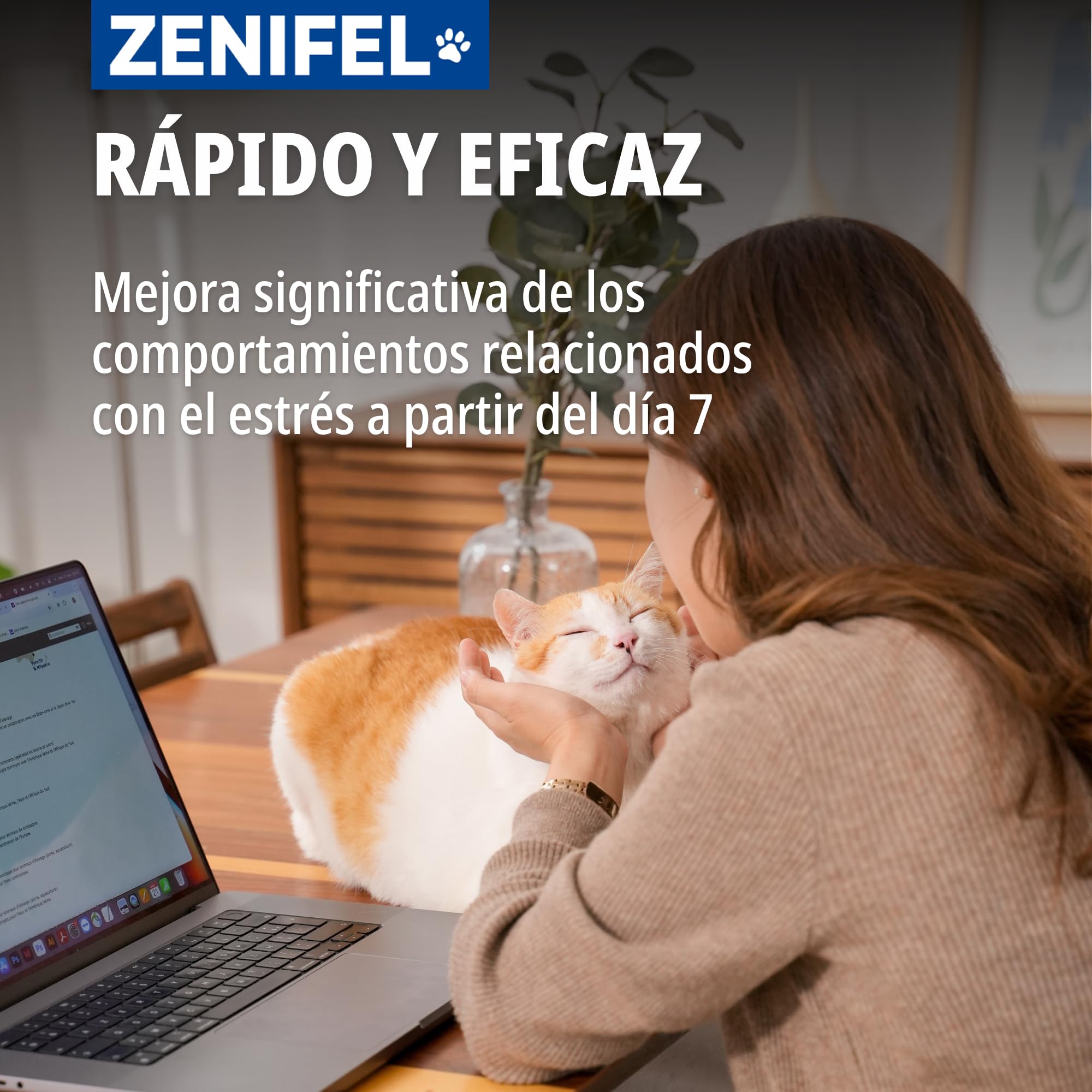 Virbac Difusor De Feromonas En Gel para Gatos - Antiestrés con Catnip - Sin Electricidad - Dura 2 Meses - 230g