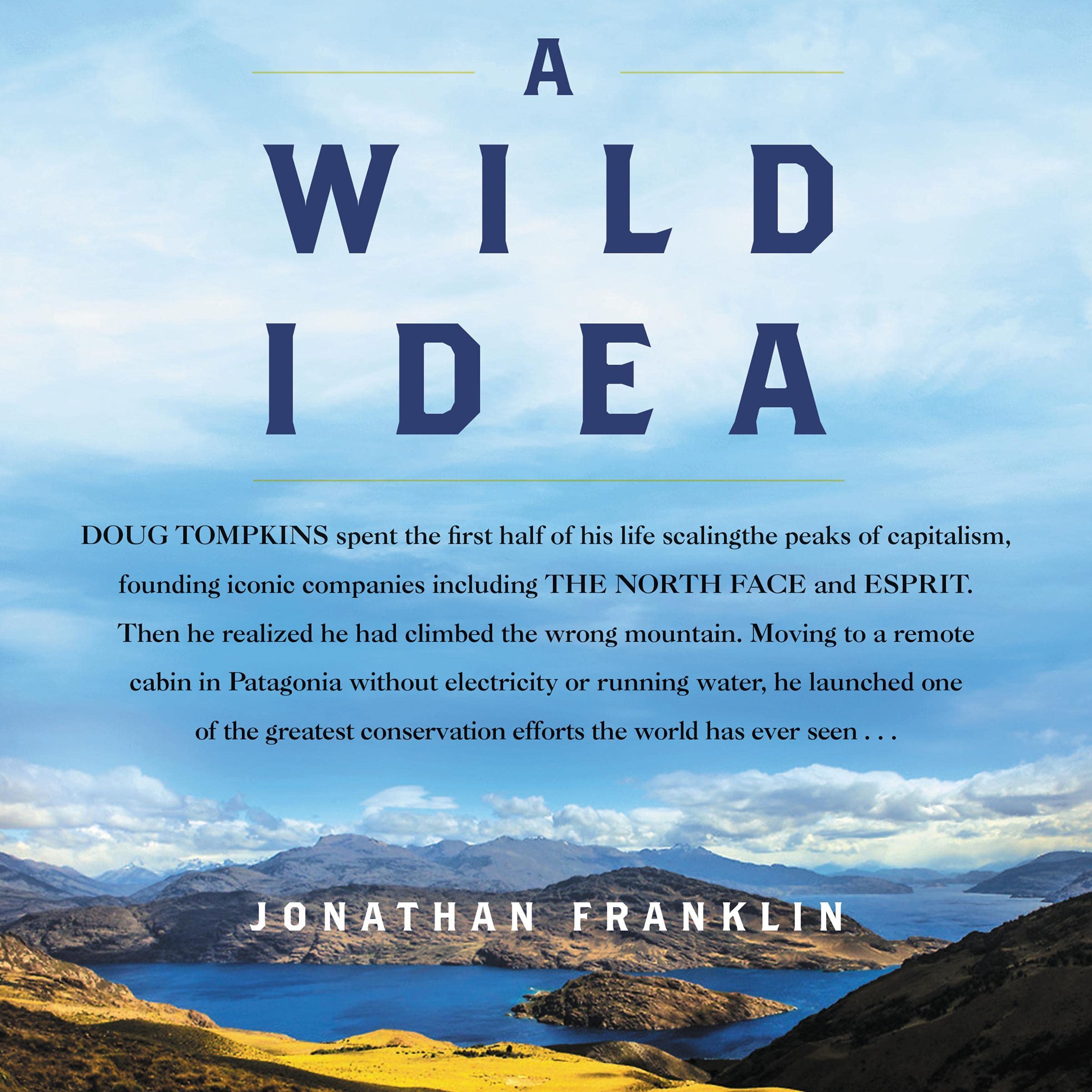 Cover art for A Wild Idea