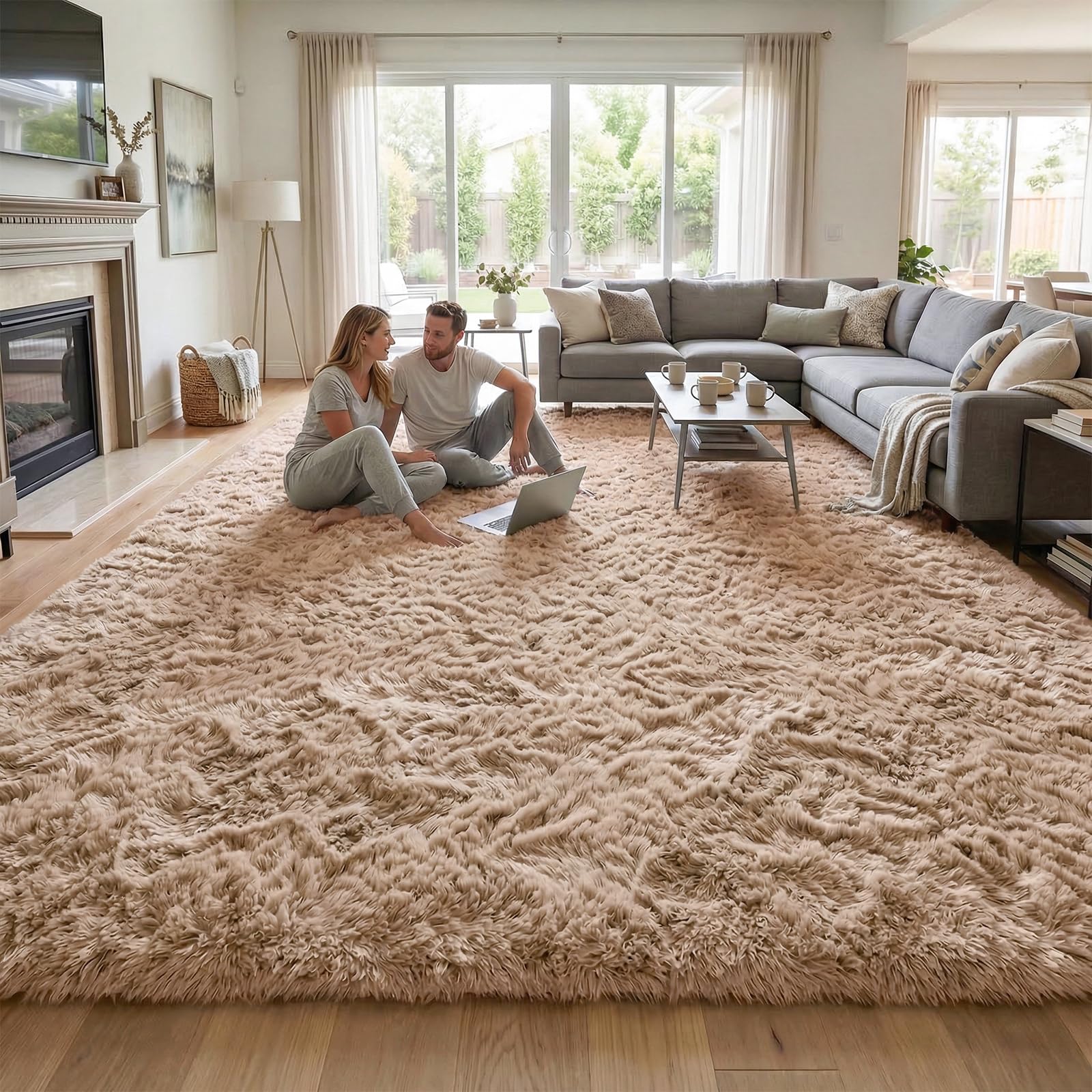 Amazon.com: DweIke Fluffy Beige Rugs for Bedroom Living Room, 4x6