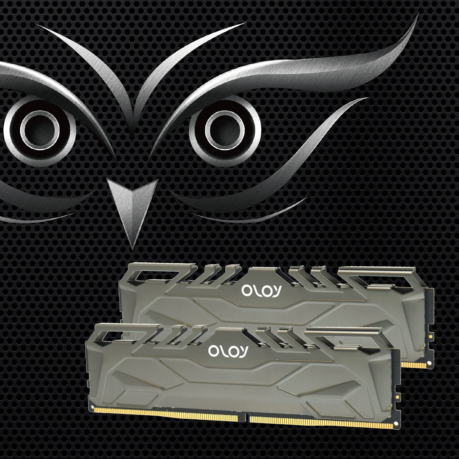 OLOy DDR4 RAM 16GB (2x8GB) 2666 MHz CL19 1.2V 288-Pin