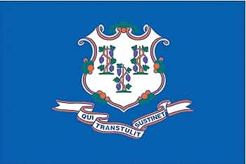 81WLbgiM8WL._AC_UF350,