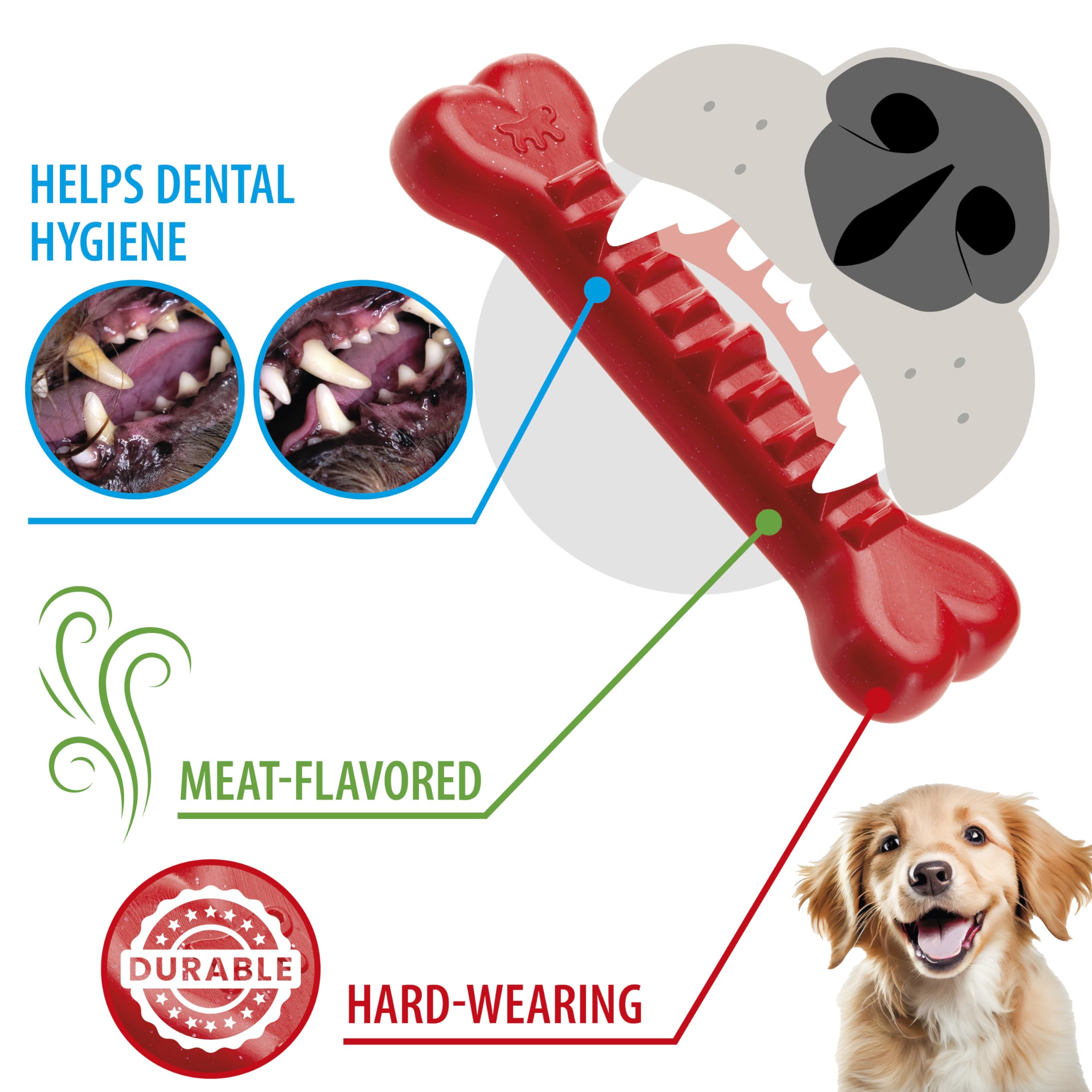 Ferplast Dog Toy, Dog Treat Dispenser Bone, Chew Toy, Made of Durable Material, Meat Flavoured - Image 3