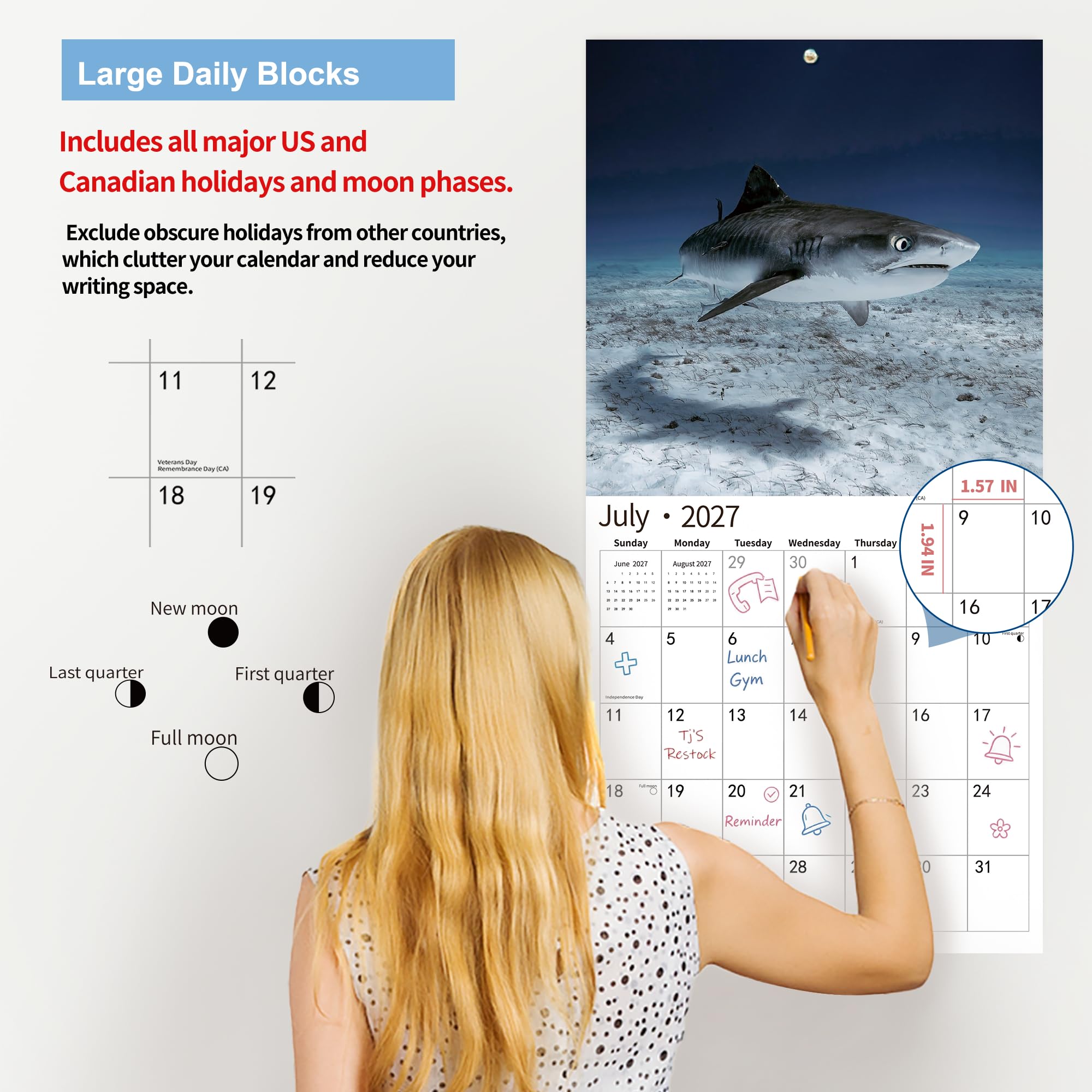 2026 Wandkalender, Kalender 2026, November 2025 – Dezember 2026, Wandkalender Hai, 30,5 x 61 cm geöffnet, ganzseitige Monate, dickes und stabiles Papier als Geschenk, perfekte Kalenderorganisation und