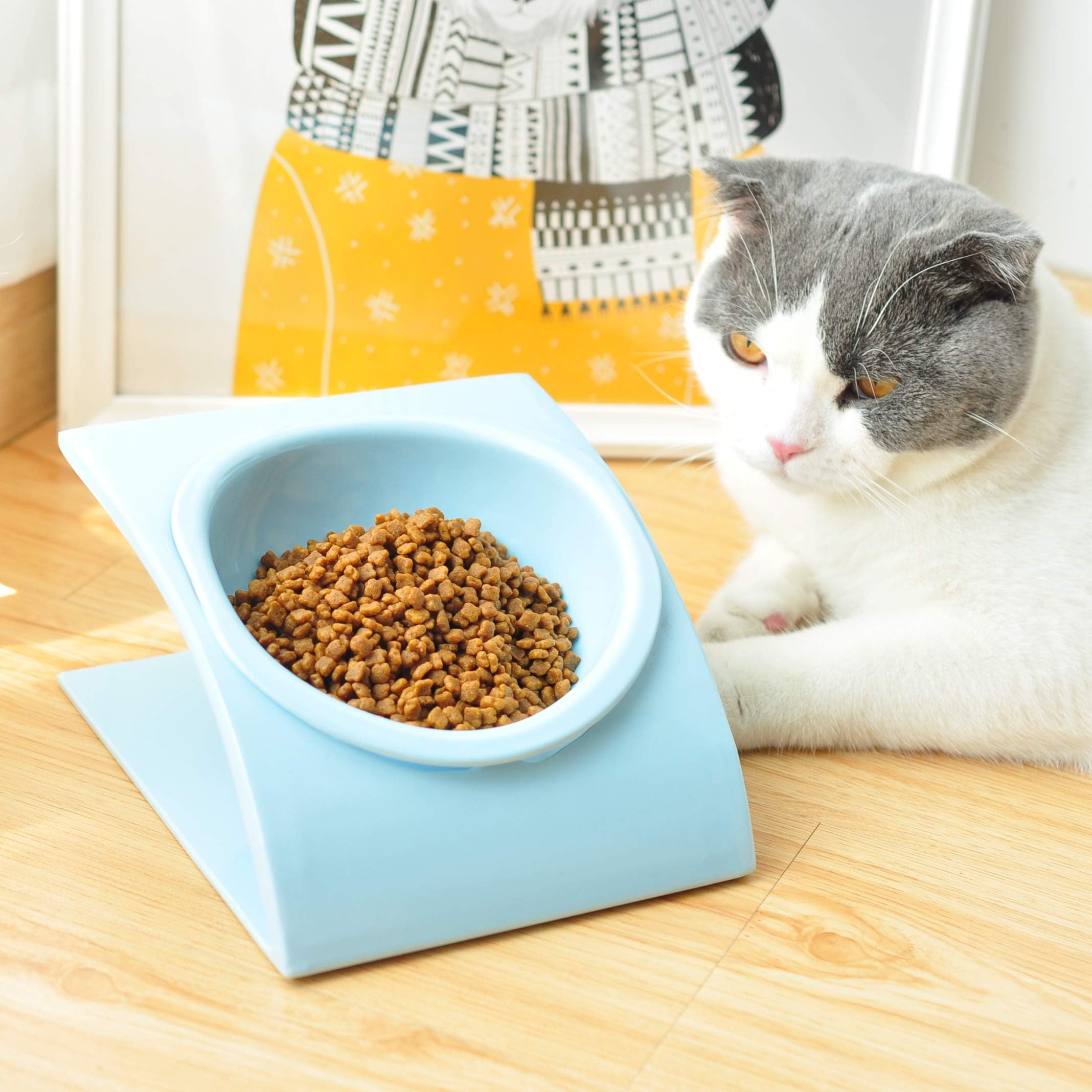 Pakeway Cat Raised Bowl with Stand Elevated Bowls, Multiple Colors Choose, Water Food Feeder for Cat or Small Puppy (Blue)