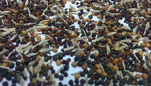 Miniatura 3 de Semillas verdes para ensalada "Mesclun Mix" – Mezcla de ensalada sin lechuga de rápido crecimiento – Cosecha en 40 días | Nunca transgénicos,