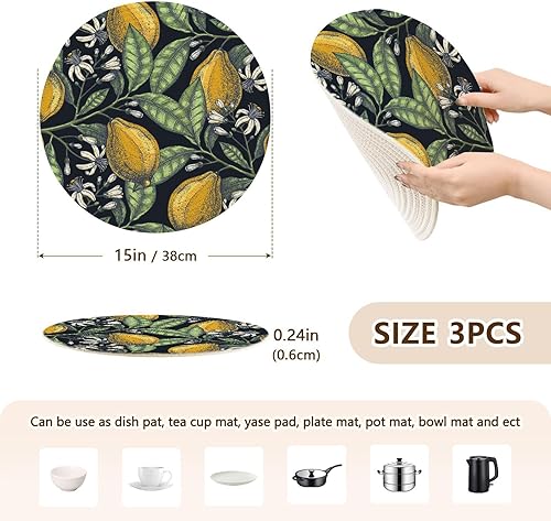 Miniatura 2 de 3 Pcs Pot Holder Trivet Mats Hand Drawn Citrus Fruits Elegant Lemons for Hot Dishes 15in Cotton Thread Weave Absorb Water Pot Holder for Crock Pot