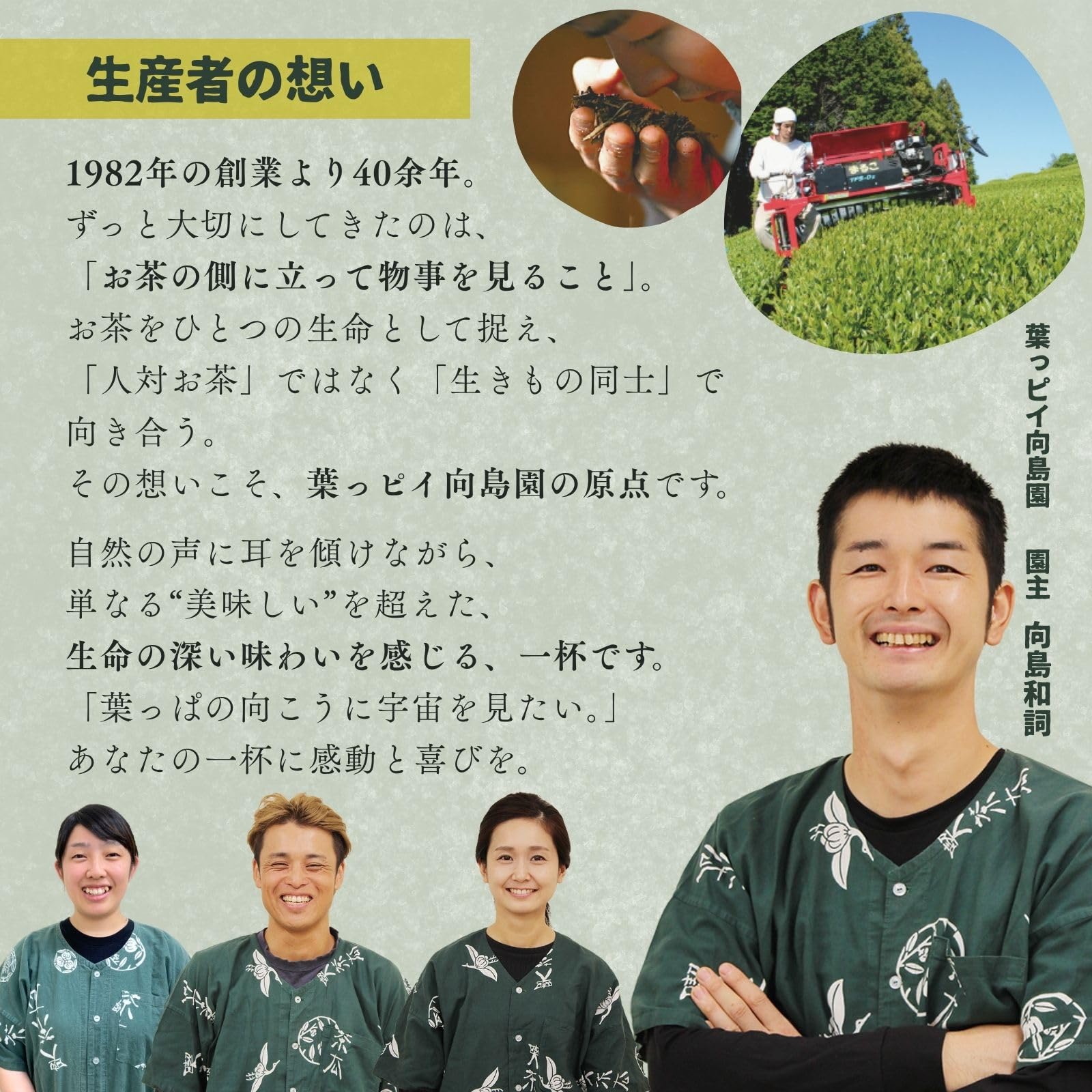 Amazon.co.jp: 葉っピイ向島園 国産 有機栽培茶 三年番茶 残留農薬検査