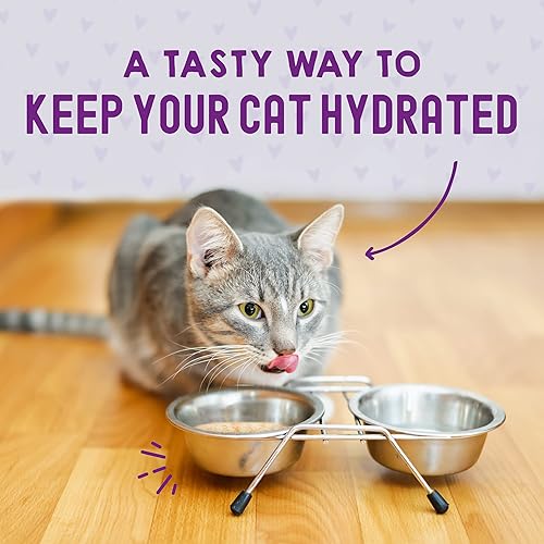 Miniatura 9 de Stella & Chewy's Carnivore Cravings Wet Cat Food Pouches  Grain Free, Protein Rich Meal, Topper or Treat  Chicken & Salmon Recipe (2.8 Ounce