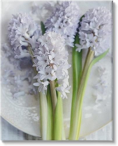 Stupell Industries Arte de pared en lienzo con diseño floral lila de naturaleza muerta, diseño de Sarah Gardner, 16 x 20 pulgadas, morado