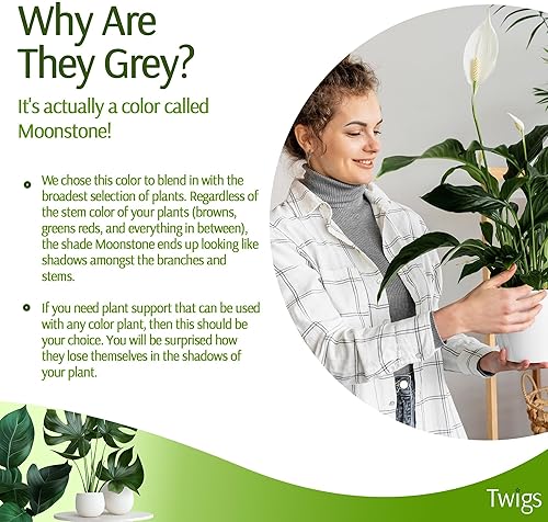 Miniatura 5 de Estacas de soporte para plantas para uso en interiores y exteriores, alternativa duradera de enrejado para plantas trepadoras y en maceta