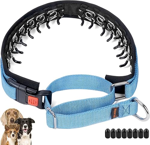 Mayerzon Collar de perro sin tirones, collar de martingala para perros pequeños, medianos y grandes, collar antitirones con hebilla y nailon