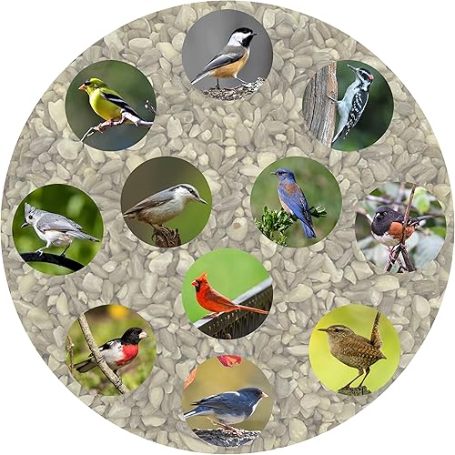 Miniatura 3 de Songbird Essentials Wild Bird Food, semillas de ave premium sin cáscara de lujo, bolsa de 5 libras, con nitrógeno