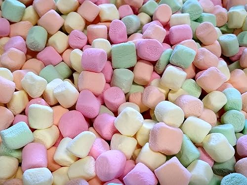 Mini malvaviscos con sabor a frutas, 1 libra de malvaviscos surtidos de naranja, limón, fresa, lima, fresco, delicioso, colorido