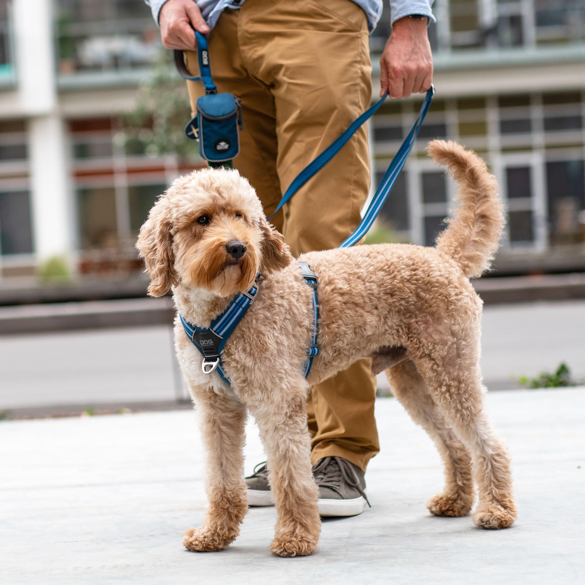 DOG Copenhagen Comfort Walk Air 3.0 Arnés, Wild Rose, XS