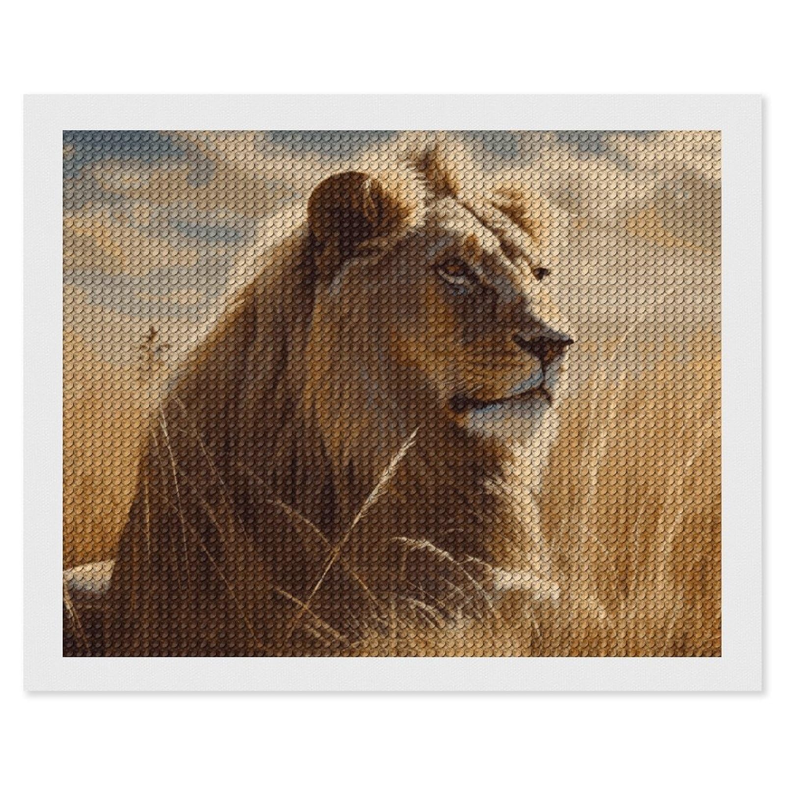 NONHAI Diamond Painting Kits for Adults - DIY Diamond Art Kits for Beginners - Full 5D Paint Drill Diamond Dots Paintings- Prairie Lion Diamonds Pictures Gem Art and Craft Wall Decor 16"x20"