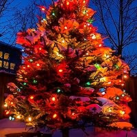 Vista 7 de C7 - Tira de luces LED multicolor de Navidad, 25 pies, para patio al aire libre, con 27 bombillas LED coloridas (2 de repuesto), luces de Navidad