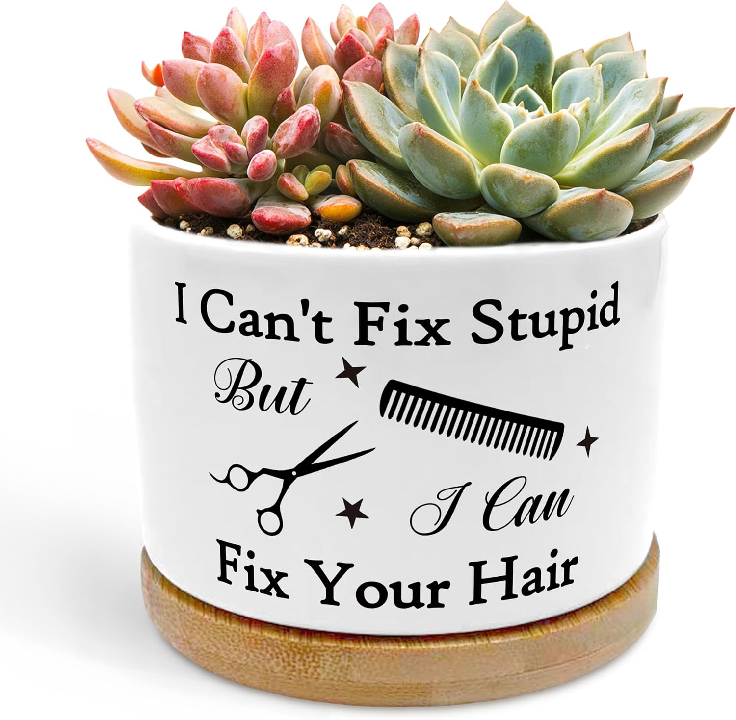 Humorous Hairstylist Planter Pots, I Can Fix Your Hair Barber Ceramic Succulent Plant Flower Planters(No Plants)