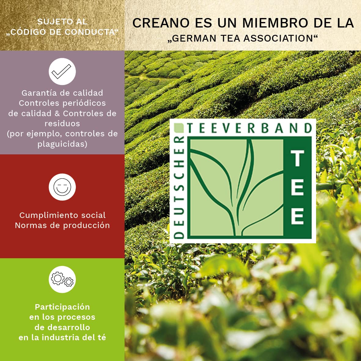 Creano Cofre Degustación Mezcla Flores Té 6 uds Selección 3 Variedades Blanco Verde Negro Pack Prueba